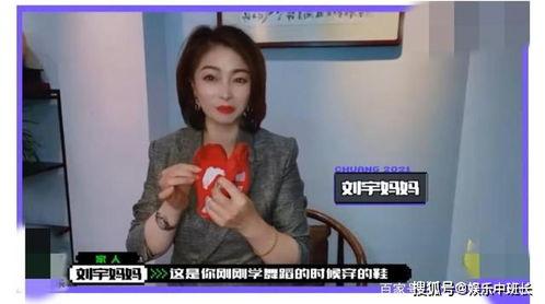 娟宝爆料视频大全最新,揭秘娱乐圈幕后真相  第2张